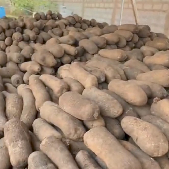 Fresh Yam (per bag) view 3