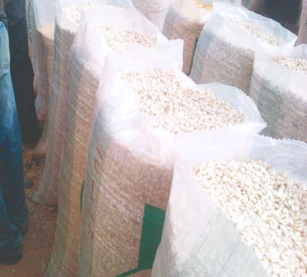 White Corn - Silver Food GmbH Germany Grains & Cereals