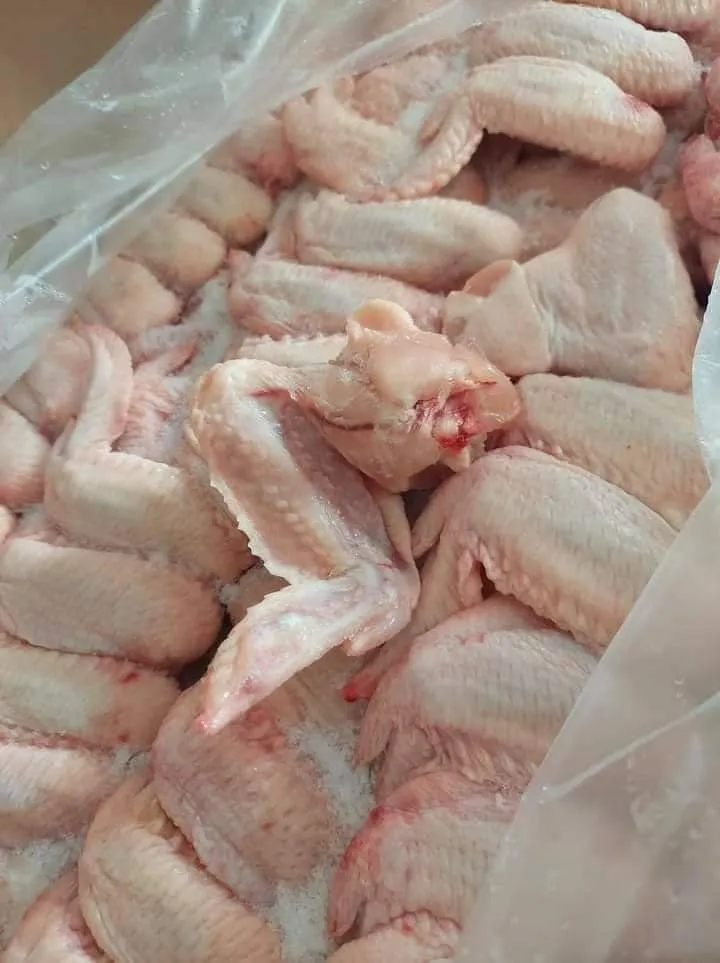 Frozen Chicken Wings - 15kg per Carton | 67 Cartons per tone - Silver Food GmbH Germany Poultry & Meat