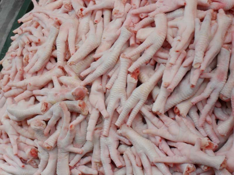 Frozen Chicken Feet - 15 kg per Carton | 66.6 Cartons per tone - Silver Food GmbH Germany Poultry & Meat