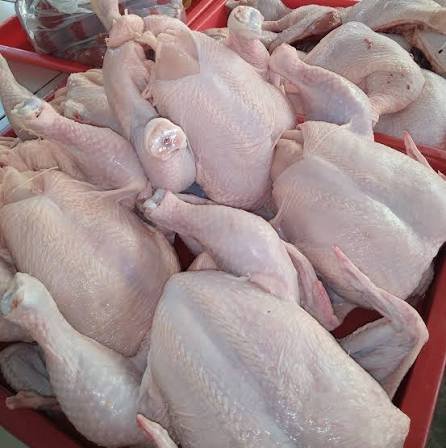 1 Carton Farm Fresh Frozen Whole Chicken | 66 Cartons per tonnes - Silver Food GmbH Germany Poultry & Meat